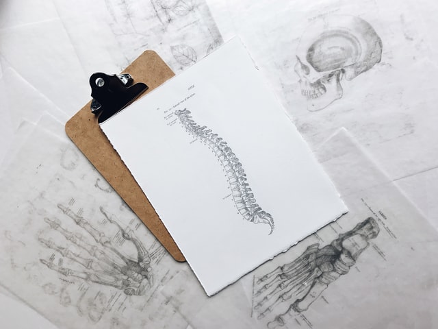 Low Back Pain